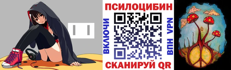 Псилоцибиновые грибы Psilocybe  Купить закладки  Холмск 